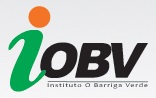 WWW.IOBV.COM.BR, IOBV CONCURSOS